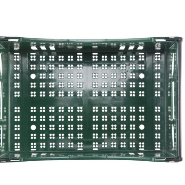 AF2416-6-01_TOP_GREEN
