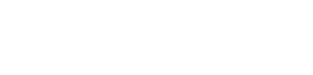 ORBIS Logo Whitepng