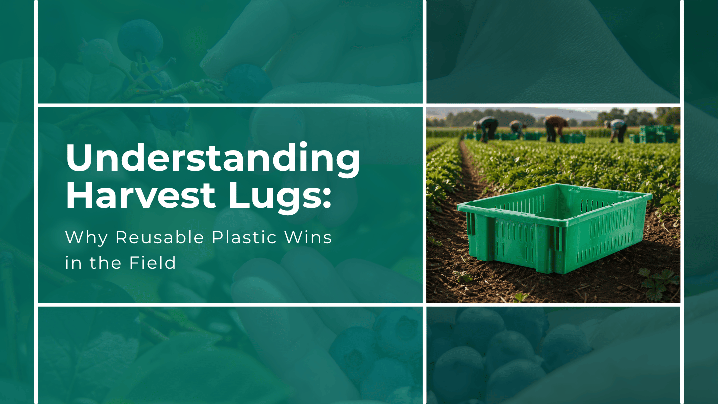 A green plastic harvest lug sits in a field with workers in the background; text reads "Understanding Harvest Lugs: Discover Why Reusable Plastic Harvest Lugs Win in the Field.